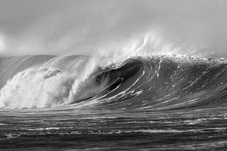 A striking monochrome image capturing a powerful ocean wave in motion.